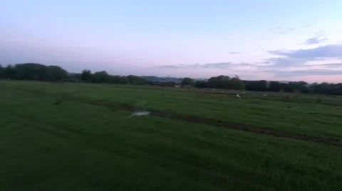 Flight in a green field on a fpv Stock Footage 196816443