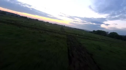 Flight in a green field on a fpv Stock Footage 196816444