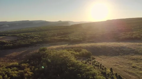 Flight in green mountain meadow. 库存影片 97321316