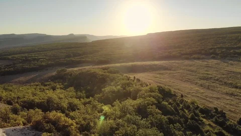 Flight in green mountain meadow. Video stock 97321342