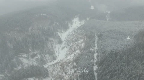 Flight at high altitude over the winter forest Stock Footage 59123219