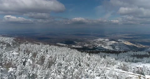 Flight high over winter forest with a look at the plain Stock Footage 158062759