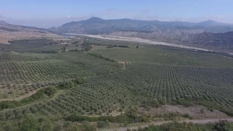 Flight to the hills Stock Footage 72425609