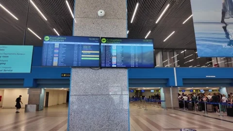 Flight Information Screen and Queue at Airport Terminal Stock Footage 341431696