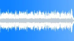 Flight of a kingfisherStock Music