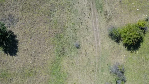 Flight from a large field in the rural part of the land Stock Footage 138709022