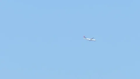 Flight of a Large Passenger Plane 스톡 동영상 81114906