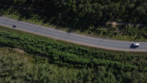 Flight to the lighthouse over the road and forest Stockbeeldmateriaal 162957280
