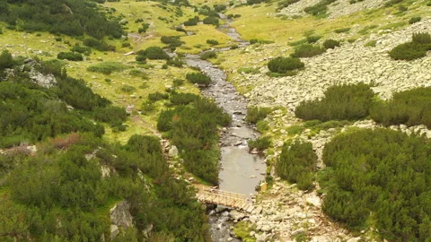 Flight Little Wooden Bridge over the River in Pirin Mountain in Bulgaria Video stock 221043853