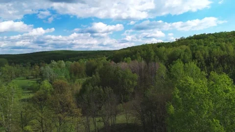 In flight at low altitude above the forest, spring. Stock Footage 334777338