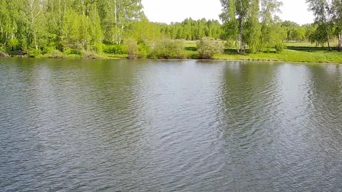 Flight at low altitude above the surface of a beautiful lake Stock Footage 295008214