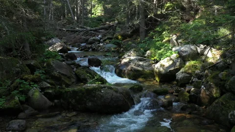 Flight Low over Clear Eco Mountain River in Forest Stock Footage 221044072