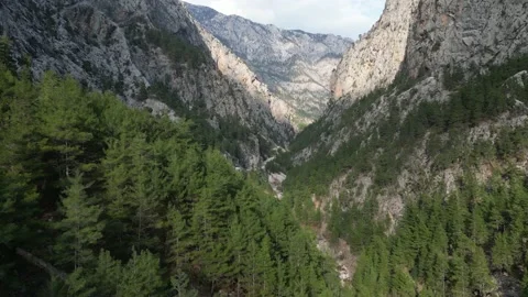 Flight in a mountain gorge over a coniferous forest 動画素材 231017257