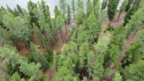 Flight to the mountain lake Stock Footage 284144337