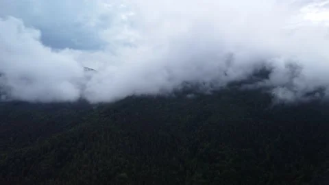 A flight from mountain meadows over green forests, under a misty mountain after Video stock 211814374