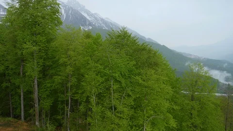 Flight from the mountain through the forest Stock Footage 107984148