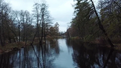 Flight is necessary in the autumn Stock Footage 81865089