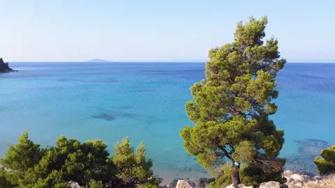 Flight next to big conifer tree by the turquoise sea. Aerial view 스톡 동영상 134850865