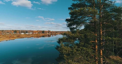 Flight up next to a tree by the river Stock Footage 97482710