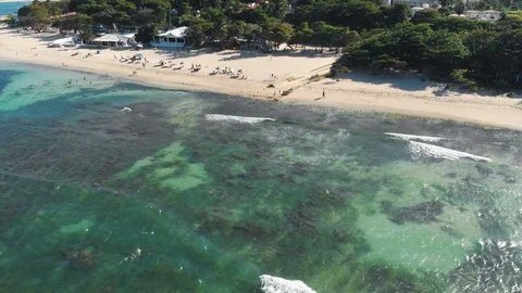 Flight to the ocean beach with yellow sand and people resting under umbrellas Stock Footage 101759507