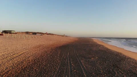 Flight on the ocean sandy shore in the early morning, Portugal, Furadouro. Stock Footage 147670135