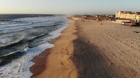 Flight on the ocean sandy shore in the early morning, Portugal, Furadouro. Stock Footage 157966775