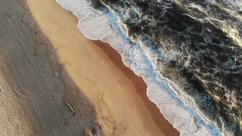 Flight on the ocean sandy shore in the early morning, Portugal, Furadouro. Stock Footage 198986932