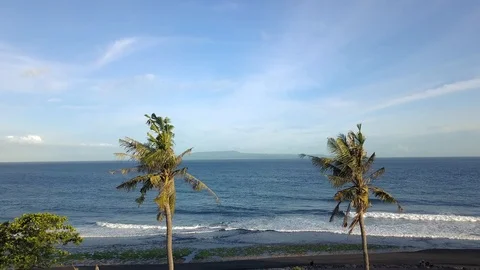 Flight to the ocean through palm trees Stock Footage 123157387