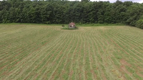 Flight to the old house next to the forest 스톡 동영상 111253483