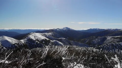 Flight Out From Snowgums Towards Mt Feathertop Victoria Australia Stock Footage
