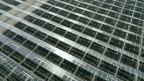 Flight over the agricultural complex. Perfect structure. Industrial greenhouses Stock Footage 137858804