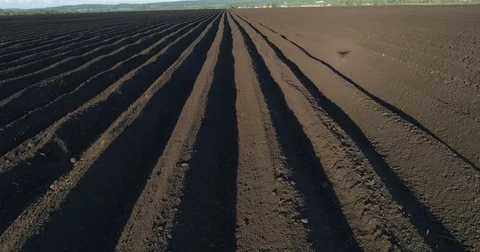 Flight over an agricultural field Stock Footage 76155290