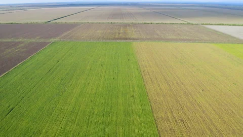 Flight over agricultural fields with different agricultural crop types 库存影片 160329682