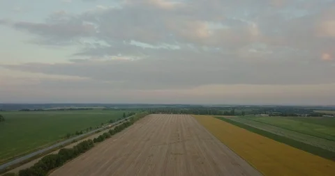 The flight over agricultural fields, early morning. Stock Footage 88023022