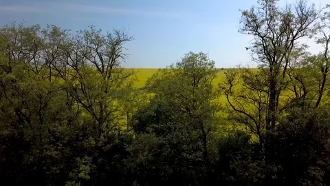 Flight over agricultural fields Stock Footage 111304869