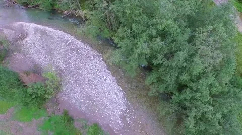 Flight Over The Alps Vidéo 58092254