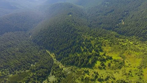 Flight over amazing mountains with forests Stock Footage 79984864