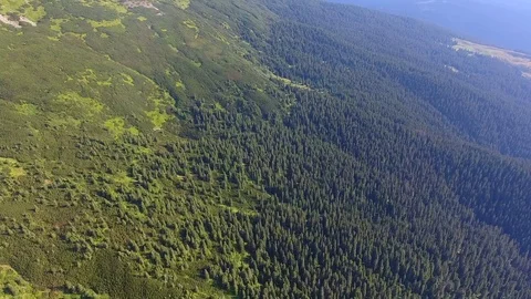 Flight over amazing mountains valley with forests Stock Footage 79986238