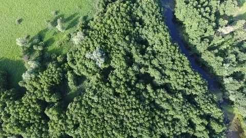 Flight over amazing  river valley Stock Footage 77719200