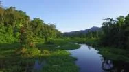 Flight Over Amazon Rain Forest At Sunset Stock Footage