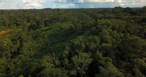 Flight Over the Amazon Rain Forest and a River in Brazil Stock Footage 92976480