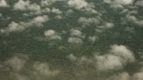 Flight Over Amazon Rainforest Video stock 10733553