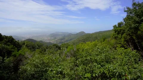 Flight over the Anaga mountain range on the Tenerife Stock Footage 229967276