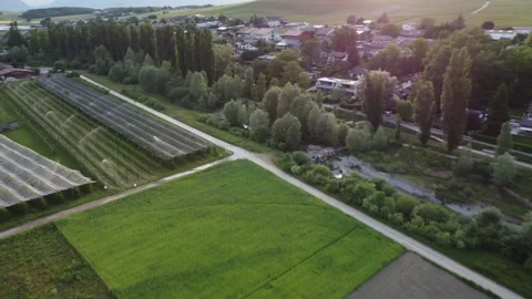 Flight over an apple farm Stock Footage 234201529