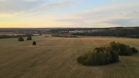 Flight over arable fields, trees and wild nature Stock Footage 254068333