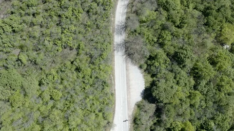 Flight over an asphalt road through the forest Stock Footage 129192891