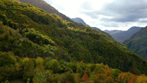 Flight over an autumn colored forest in the Albanian Alps Stock Footage 255055337