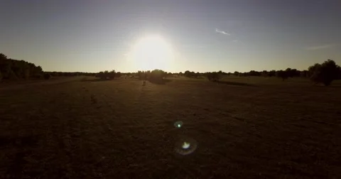 Flight over autumn field Stock Footage 68093348
