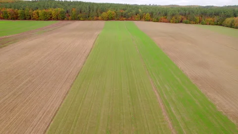 Flight over autumn field Vídeo Stock 348451207