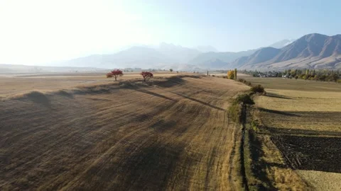 Flight over autumn fields with mountain background Video stock 219410177